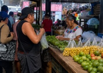 Tu despensa paga las consecuencias; robos en carreteras presionan los precios en Yucatán