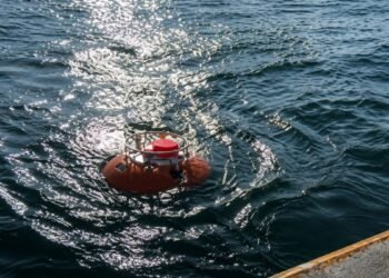 Yucatán, en el radar de la ballena de Rice: científicos van tras una de las especies más amenazadas