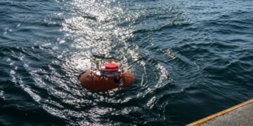 Yucatán, en el radar de la ballena de Rice: científicos van tras una de las especies más amenazadas