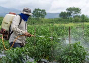 Aumentan las intoxicaciones por plaguicidas en Yucatán; casos se triplican en un año