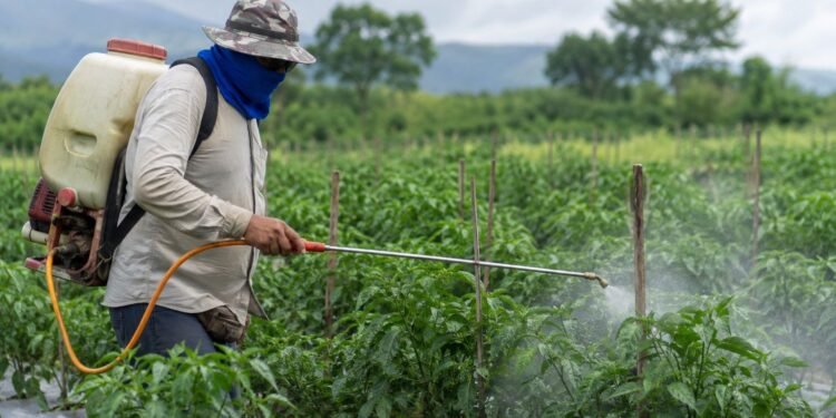 Aumentan las intoxicaciones por plaguicidas en Yucatán; casos se triplican en un año