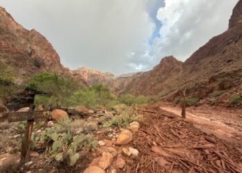 Inundación repentina golpea el Gran Cañón; buscan a más de 20 personas y evacúan a decenas