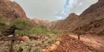 Inundación repentina golpea el Gran Cañón; buscan a más de 20 personas y evacúan a decenas