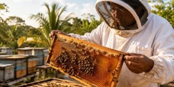 Miel mexicana conquista 30 países; Yucatán encabeza la producción nacional
