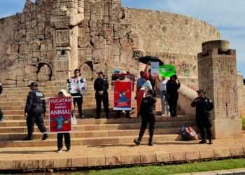 Taurinos y animalistas chocan en Mérida por las corridas de toros
