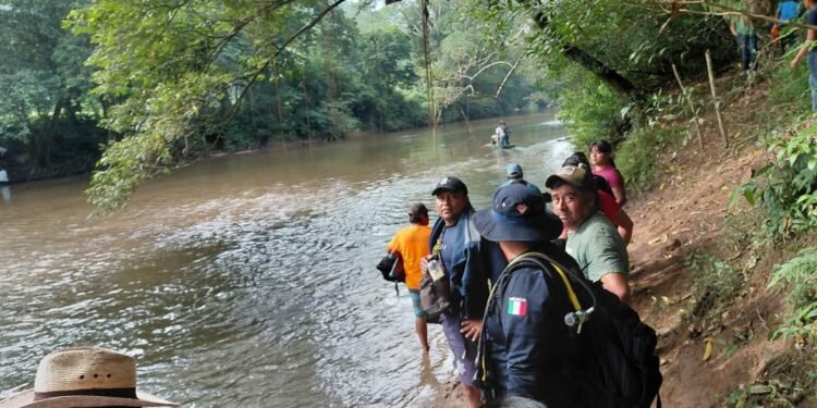 ¿Cómo sobrevivió 15 días en las profundidades de un cenote?