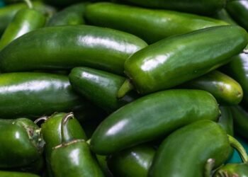 FDA apunta a empacadora en Nuevo León; COFEPRIS activa investigación