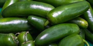 FDA apunta a empacadora en Nuevo León; COFEPRIS activa investigación
