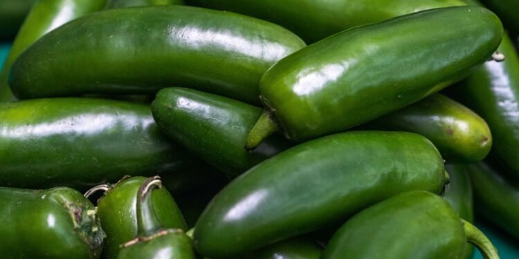 FDA apunta a empacadora en Nuevo León; COFEPRIS activa investigación