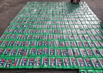 Haaland llega a Ecuador… pero en paquetes de cocaína