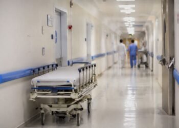 Confirman caso de hantavirus en Europa; paciente viajó por Francia y ahora está aislado en España