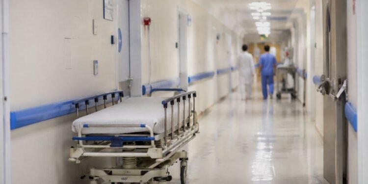 Confirman caso de hantavirus en Europa; paciente viajó por Francia y ahora está aislado en España