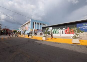¿Ya lo conoces? Así cambió el Mercado Lucas de Gálvez tras su remodelación