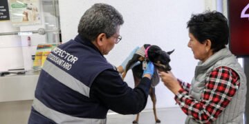Nuevo cerco contra el gusano barrenador: México exigirá certificado para perros y aves de EU