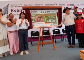 Una abeja sin aguijón llega a la Lotería; así reconocen a quienes mantienen viva la miel maya