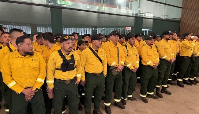 ¡Van al frente del fuego! México refuerza apoyo a Canadá con más brigadistas