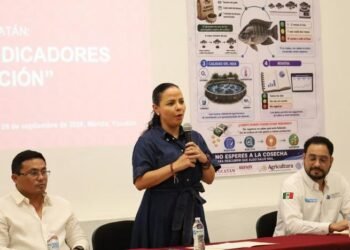 Más control, menos pérdidas: así buscan mejorar la producción de tilapia en Yucatán