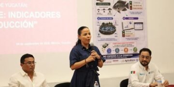Más control, menos pérdidas: así buscan mejorar la producción de tilapia en Yucatán