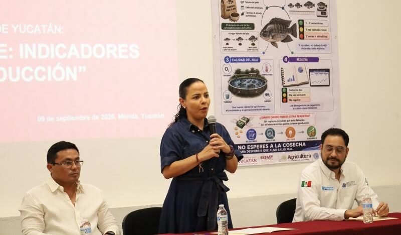 Más control, menos pérdidas: así buscan mejorar la producción de tilapia en Yucatán