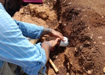 ¿Qué encontraron bajo las vías del Tren Maya? Revelan nuevos descubrimientos