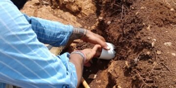 ¿Qué encontraron bajo las vías del Tren Maya? Revelan nuevos descubrimientos