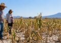 El Niño se fortalece y UNAM lanza alerta para México