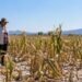 El Niño se fortalece y UNAM lanza alerta para México