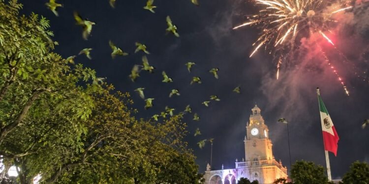 “¡Alto a la pirotecnia!”: denuncian que festejos ponen en riesgo a loros de Mérida