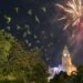 “¡Alto a la pirotecnia!”: denuncian que festejos ponen en riesgo a loros de Mérida