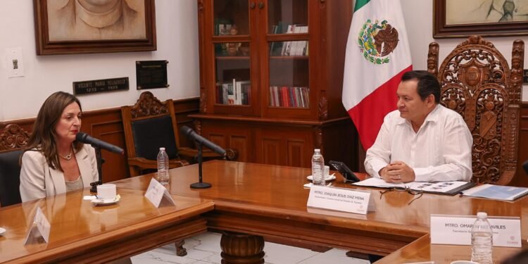 ¡Viento a favor! Yucatán tendrá parque eólico de 9 mil 250 mdp en Panabá