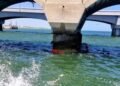 Alerta en el mar de Progreso: fuga de hidrocarburo moviliza a Marina y Pemex
