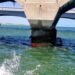 Alerta en el mar de Progreso: fuga de hidrocarburo moviliza a Marina y Pemex