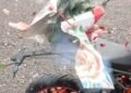 ¿Regalo o trampa? Paquete con flores explota a motociclista de aplicación