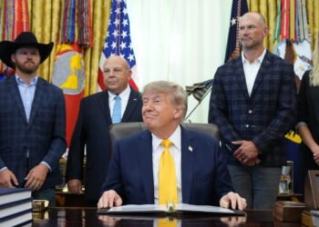 Alerta por el lobo mexicano: Trump ordena evaluar si termina la protección
