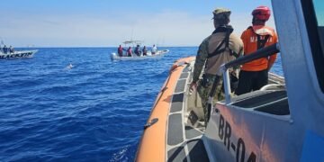 Salieron a pescar marlín y encontraron un torpedo frente a Ensenada