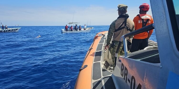 Salieron a pescar marlín y encontraron un torpedo frente a Ensenada