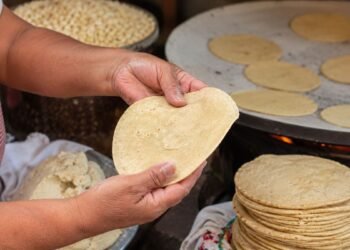 ¿Qué tortilla conviene comprar? Estas señales hacen la diferencia