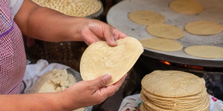 ¿Qué tortilla conviene comprar? Estas señales hacen la diferencia
