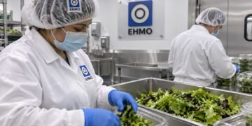 Más capacidad y logística: EHMO acelera expansión en el sector alimentario