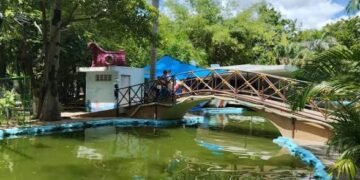 ¿Visitas El Centenario? Esto se sabe sobre la “ameba comecerebros” en su lago