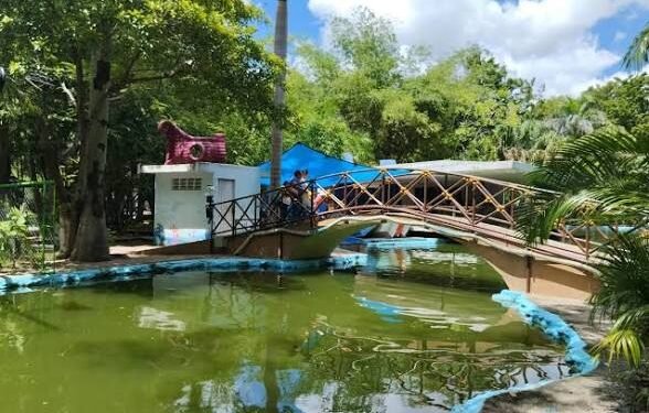 ¿Visitas El Centenario? Esto se sabe sobre la “ameba comecerebros” en su lago