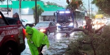 ¡La lluvia puso a prueba a Mérida! Refuerzan operativos para evitar inundaciones