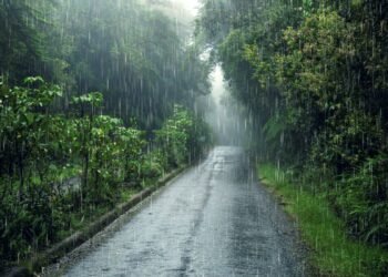 ¡A sacar el paraguas! Lluvias muy fuertes amenazan a varios municipios
