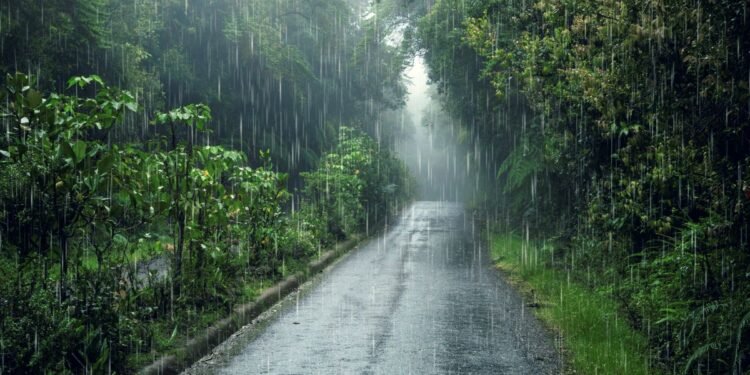 ¡A sacar el paraguas! Lluvias muy fuertes amenazan a varios municipios
