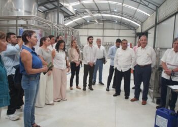 ¿Basura o recurso? Yucatán explora cómo convertir el sargazo en productos útiles