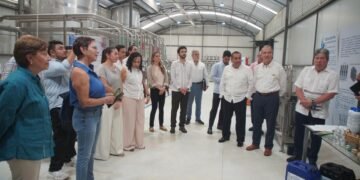 ¿Basura o recurso? Yucatán explora cómo convertir el sargazo en productos útiles