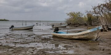 Cambio climático amenaza a comunidades pesqueras; UNAM lanza advertencia