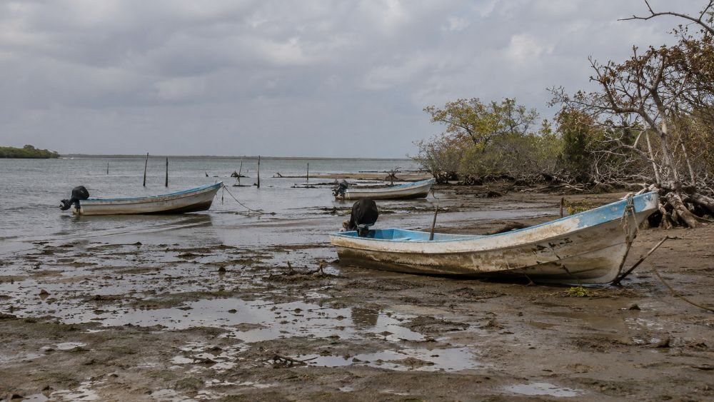 Cambio climático amenaza a comunidades pesqueras; UNAM lanza advertencia