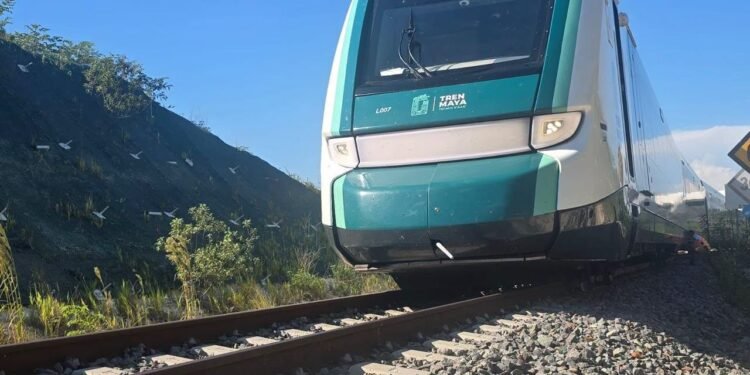 Tren Maya apuesta por más rutas y paquetes turísticos para cerrar 2026; estos son sus precios