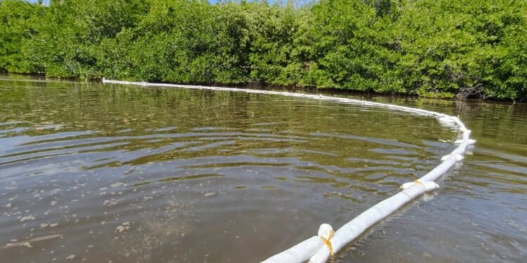 Detectan derrame de hidrocarburo en la Ciénega de Progreso